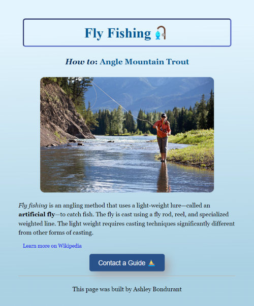 Fly Fishing Project
